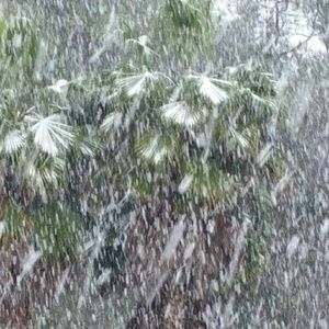 SNOWING AT THE BEACH!